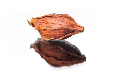 3A免费FPS《分裂之门2》公测评价褒贬不一 服务器崩溃CEO致歉